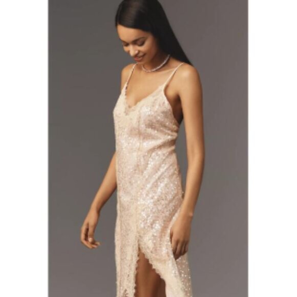 Brand New En Elly Sleeveless V-Neck Lace Sequin Slip Midi Dress - Picture 2 of 14